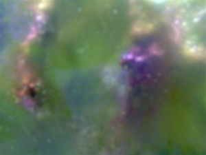 red slime, algae attack