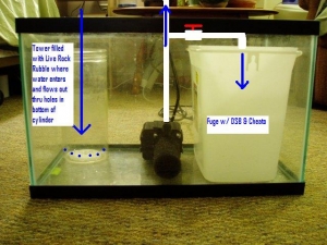 10 gallon sump/fuge