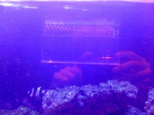Sump4