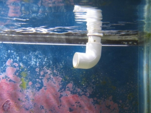 return with siphon holes