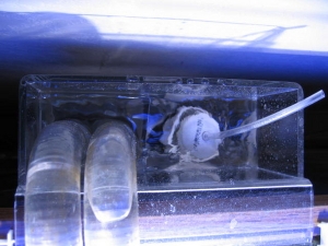 pics of overflow w/Hofer gurgle buster