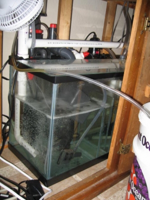 input side of sump