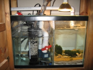sump/fuge