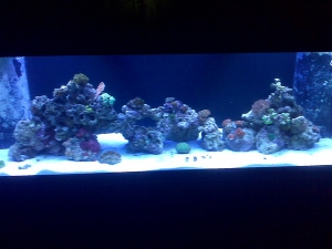 August 2009 FTS