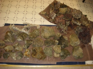 all our rocks before going in the tank