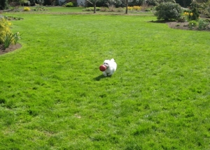 Lily can run so fast!