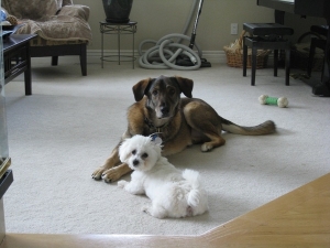 Coco and Lily