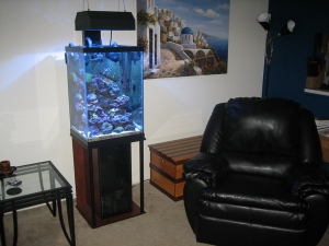 roomShot1