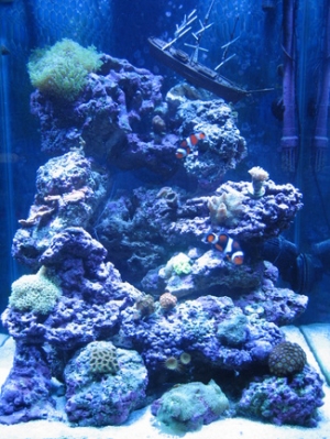 fts1