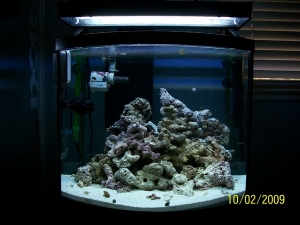DA TANK