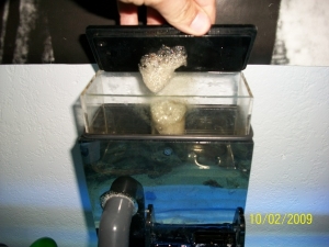 SKIMMER