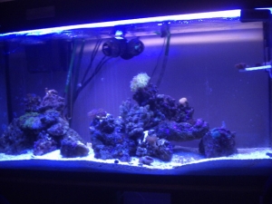 fts