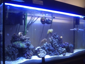 fts