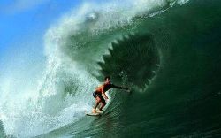 Surfin