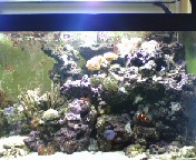 Fish tank half 2