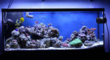 FTS Dec. 2009