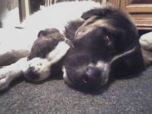 Miller and Jameson!