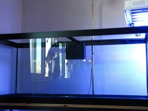 Through the glass overflow