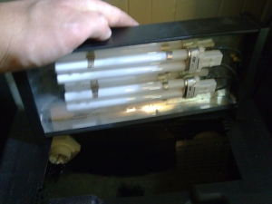 2 x 13 watt 6500k PC bulbs