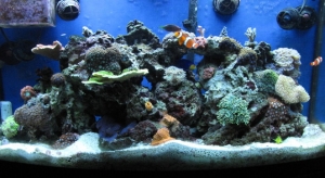 New FTS at 1-1/2 years