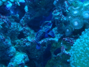 05 10 2010 (3)