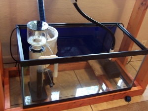 Day 1 Sump set up.  Turned into Refugium with 3 separate chambers later.