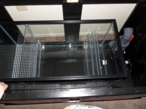 Clean, dry sump -- too bad it doesnt look this clean anymore!!!