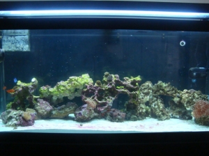 fts 9-14-2010