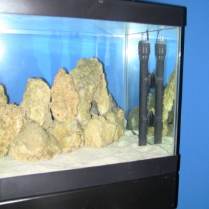 right side of the tank