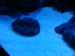IMG00314 20101014 1307