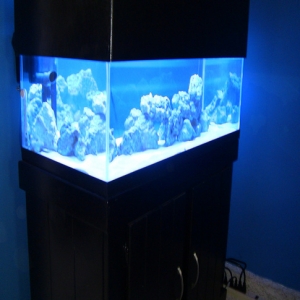 IMG 0279
