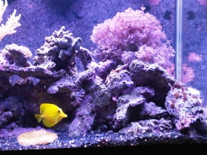 IMG00201 20101204 1244