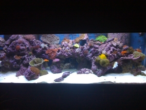 tank full