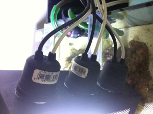 3 standard sockets made for out door use