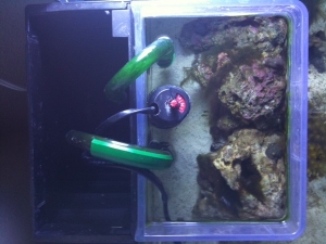 Top view of filter lines and heater