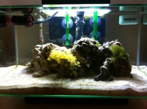 Front view of tank