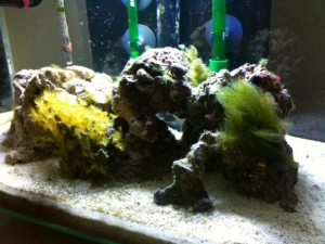 corner view of tank