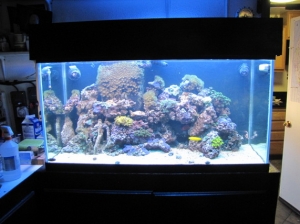 Ready for some changes ...before I added rock...just got the water back to stable levels.