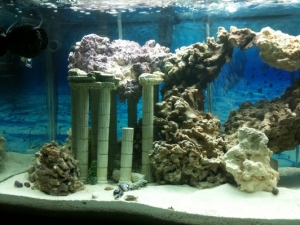 Left side of tank.