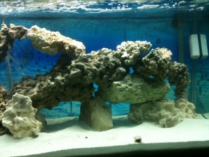 Right Side of tank.