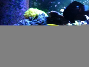 photo (4)