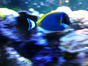 photo (5)