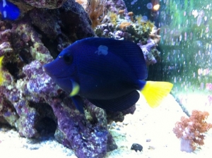 photo (6)