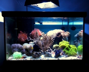 new fts