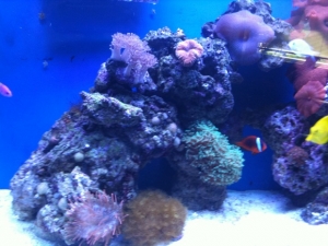 tank1.12