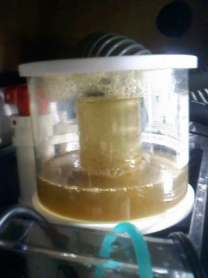 2days skimmate