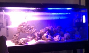 IMAG0044