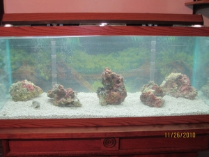 IMG 0691