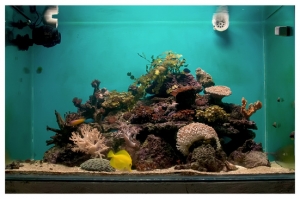 FTS2