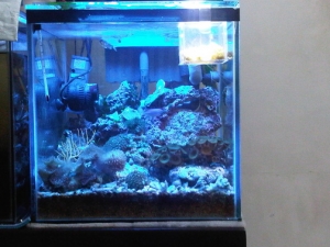 IMG01310 20110601 1910